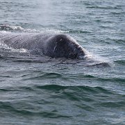 IMG 0001 2 (16)